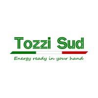 Tozzi Green has secured €42.5 million in new financing for a 56.4 MW agrivoltaic plant in Catania.