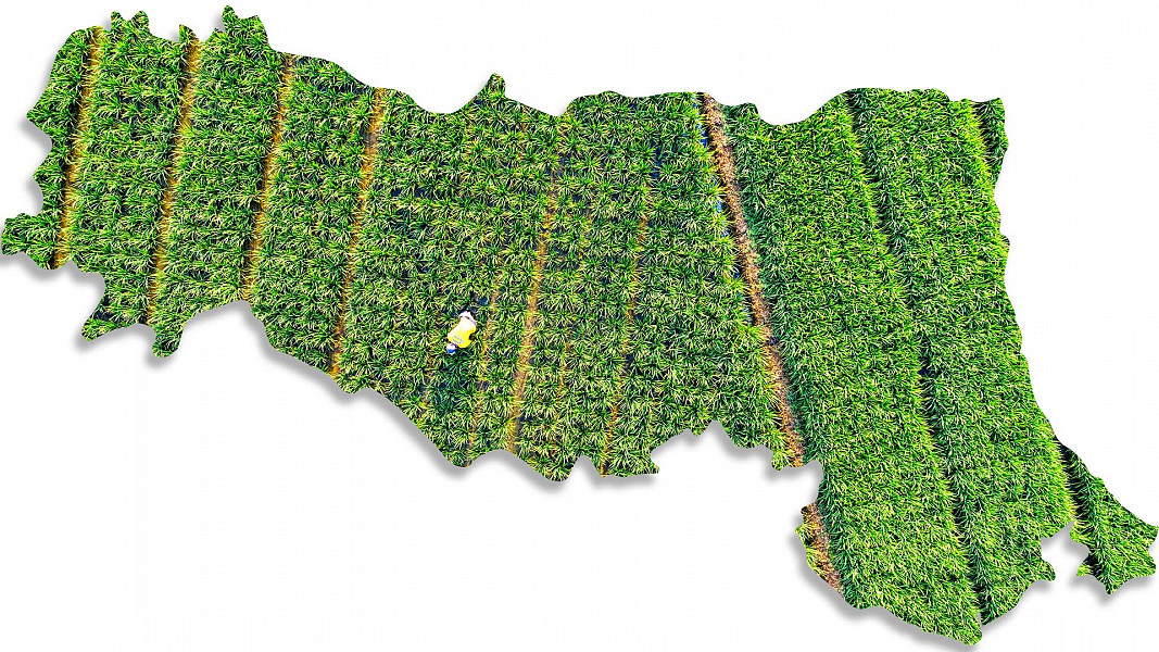 New investments of 4.5 million euros in the agricultural sector